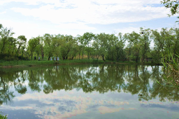 仪表原材料价格变动情况（2026年1月1日-1月11日）