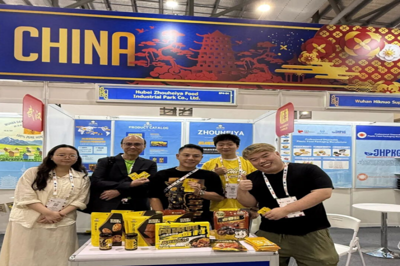 武汉组织16家企业“抱团出海” 亮相新港两大国际展会 深化经贸合作稳外贸