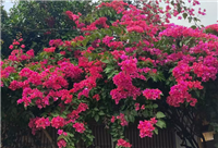 移动电源强制性国家标准公布 将为消费者提供更安全、更实用的充电产品