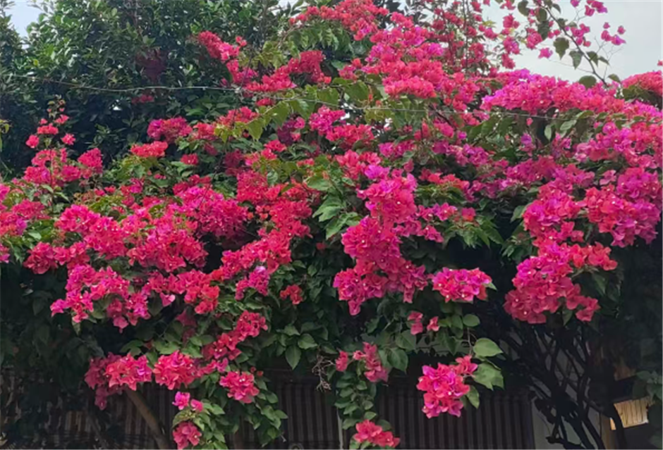 移动电源强制性国家标准公布 将为消费者提供更安全、更实用的充电产品