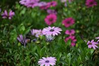 关于召开“2026全国塑编产业链技术交流与市场对接会”的通知